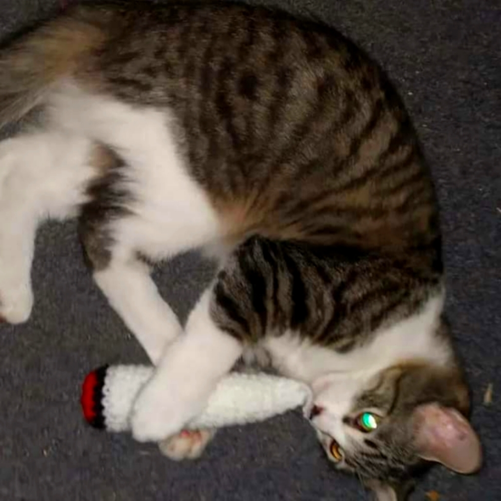 Organic Crochet Catnip toy